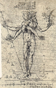 davinci alegoria placerii si a durerii